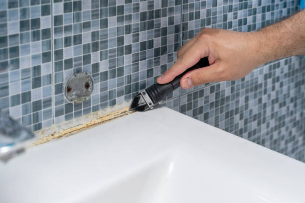 Mold Removal Process in Harrisburg, IL